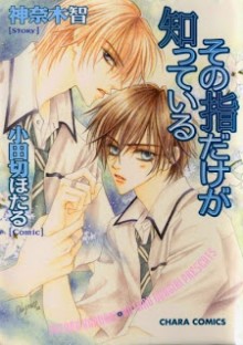Sono+Yubi+Dake+ga+Shitte+Iru[1]