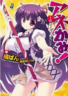 Novel-アネかみ！-第01巻-Anekami-vol-01.jpg