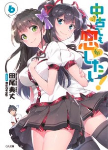 Novel-中古でも恋がしたい！-第01-06巻-Chuko-De-Mo-Koi-Ga-Shitai-vol-01-06.jpg