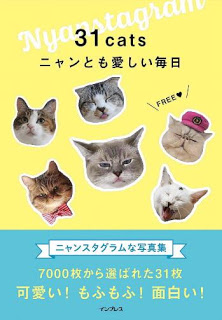 31cats-ニャンとも愛しい毎日.jpg