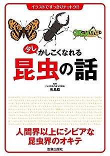少しかしこくなれる-Sukoshi-Kashikoku-Nareru.jpg