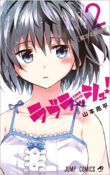 ラブラッシュ-第01-02巻-Love-Rush-vol-01-02.jpg