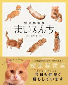 まいる-短足猫家族-まいるんち.jpg