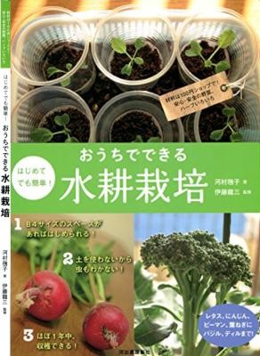 おうちでできる水耕栽培.jpg