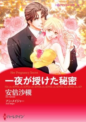 一夜が授けた秘密.jpg