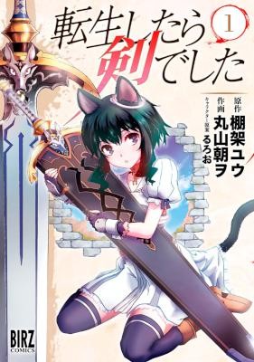 転生したら剣でした-第01巻-Tensei-Shitara-Ken-deshita-vol-01.jpg