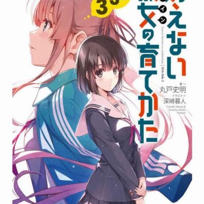 Novel-冴えない彼女の育てかた-第01-12巻-Saenai-Heroine-no-Sodatekata-vol-01-12.jpg