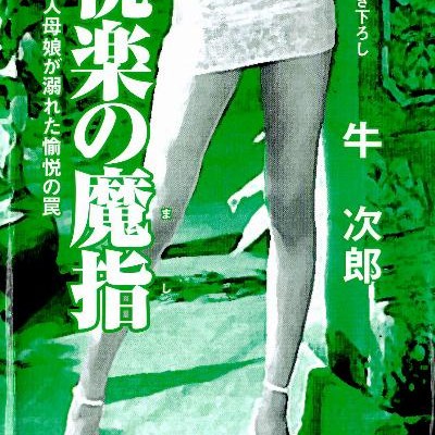 Novel-悦楽の魔指-Etsuraku-no-Mashi.jpg