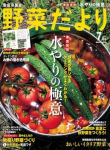 Yasaida-Yori-2017年07月号-Yasaida-Yori-2017-07.jpg