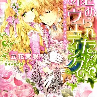Novel-秘められたウエディング-Himerareta-Uedingu.jpg