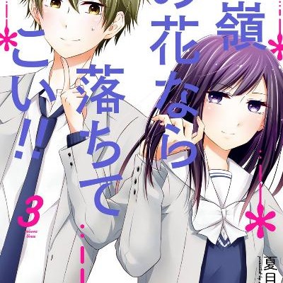 高嶺の花なら落ちてこい！！-第01-03巻-Takane-no-Hana-Nara-Ochi-Tekoi-vol-01-03.jpg